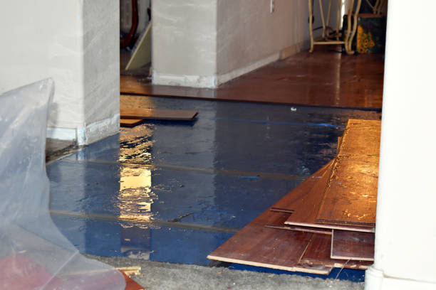 Professional Basement Water Removal technician working in Bernardsville, NJ